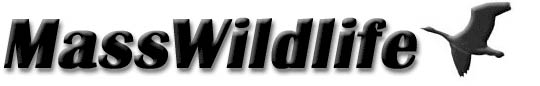 masswildlife.org